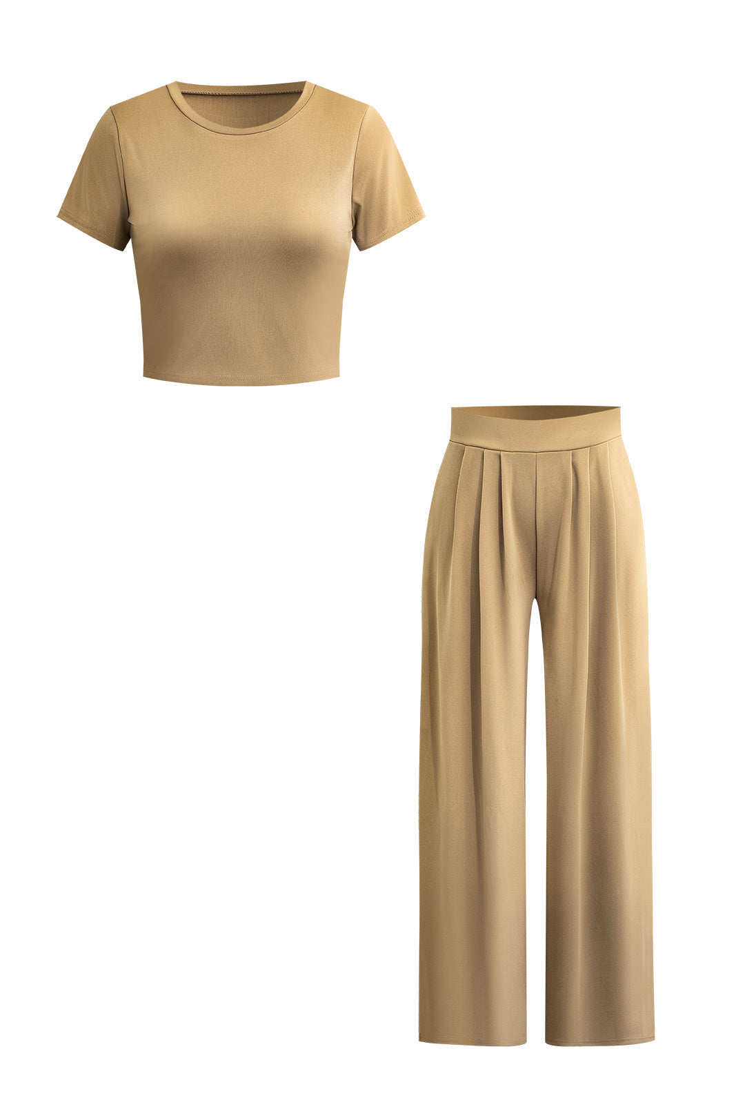 Solid Crop T-shirt And Pleated High Waist Wide Leg Pants Set